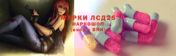 гидра Аркадак