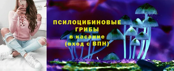 гидра Аркадак