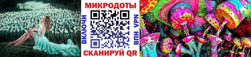 Галлюциногенные грибы ЛСД  Талица 