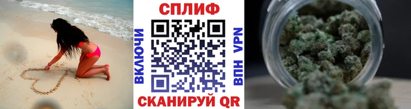 Конопля план  Талица 